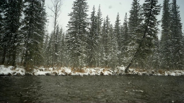 河堤被雪覆盖着。下雪的冬天的公园。视频素材