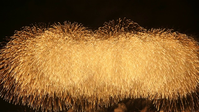 夜空中的烟花视频素材画面1