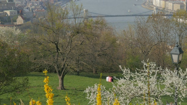 著名的议会和多瑙河景色从Citadela山观赏4K视频素材