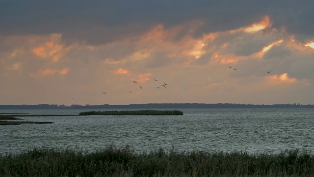 泻湖地区(博登)在秋天日出，布雷塞维茨，Zingst, fischand - darß -Zingst，波罗的海，梅克伦堡- vorpommern，德国视频素材