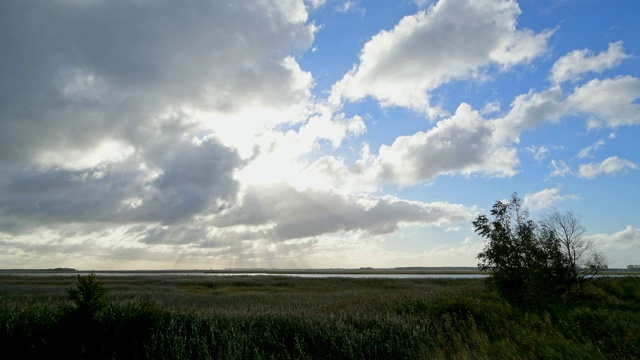 环礁湖区域(Bodden)在秋季,Zingst Fischland-Darß-Zingst Mecklenburg-Vorpommern波罗的海,德国视频素材