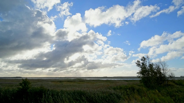 环礁湖区域(Bodden)在秋季,Zingst Fischland-Darß-Zingst Mecklenburg-Vorpommern波罗的海,德国视频素材