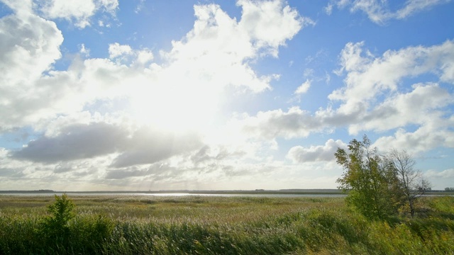 环礁湖区域(Bodden)在秋季,Zingst Fischland-Darß-Zingst Mecklenburg-Vorpommern波罗的海,德国视频素材