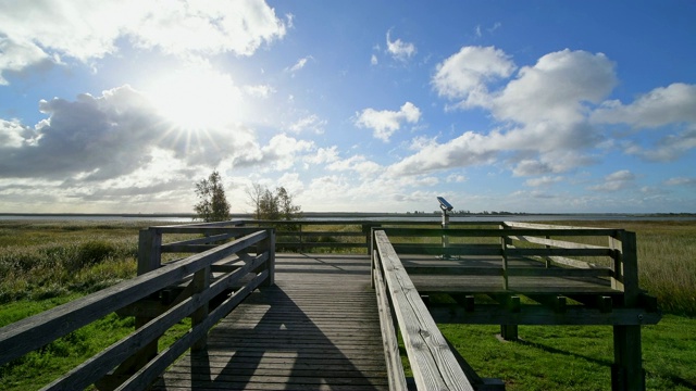 观景台太泻湖区(博登)秋天，Zingst, Fischland-Darß-Zingst，波罗的海，梅克伦堡- vorpommern，德国视频素材