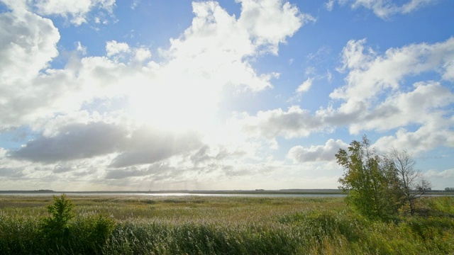 环礁湖区域(Bodden)在秋季,Zingst Fischland-Darß-Zingst Mecklenburg-Vorpommern波罗的海,德国视频素材