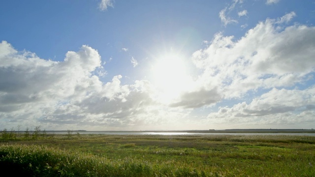 环礁湖区域(Bodden)在秋季,Zingst Fischland-Darß-Zingst Mecklenburg-Vorpommern波罗的海,德国视频素材