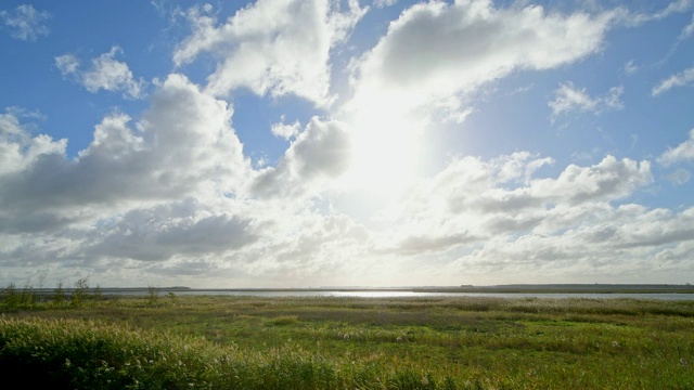 环礁湖区域(Bodden)在秋季,Zingst Fischland-Darß-Zingst Mecklenburg-Vorpommern波罗的海,德国视频素材