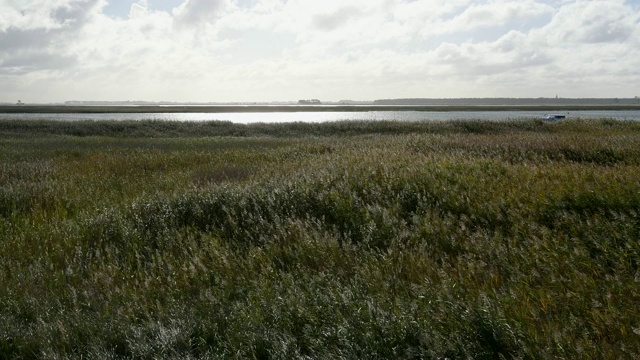 环礁湖区域(Bodden)在秋季,Zingst Fischland-Darß-Zingst Mecklenburg-Vorpommern波罗的海,德国视频素材