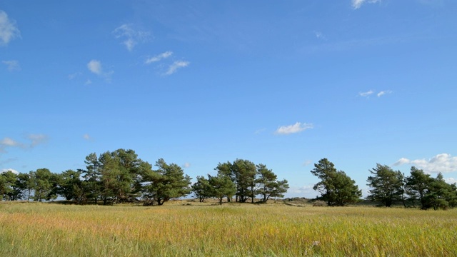 蓝天沙丘景观，Darsser Ort, preow, Fischland-Darß-Zingst，波罗的海，Mecklenburg-Vorpommern，德国视频素材