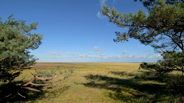 蓝天沙丘景观，Darsser Ort, preow, Fischland-Darß-Zingst，波罗的海，Mecklenburg-Vorpommern，德国视频素材