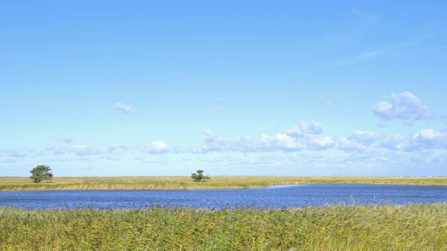 海岸湖沙丘景观，达尔瑟奥尔特，普雷罗，菲施兰达ß- zingst，波罗的海，梅克伦堡- vorpommern，德国视频素材