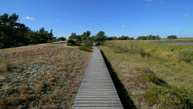 木栈道通过沙丘景观，Darsser Ort, preow, Fischland-Darß-Zingst，波罗的海，Mecklenburg-Vorpommern，德国视频素材