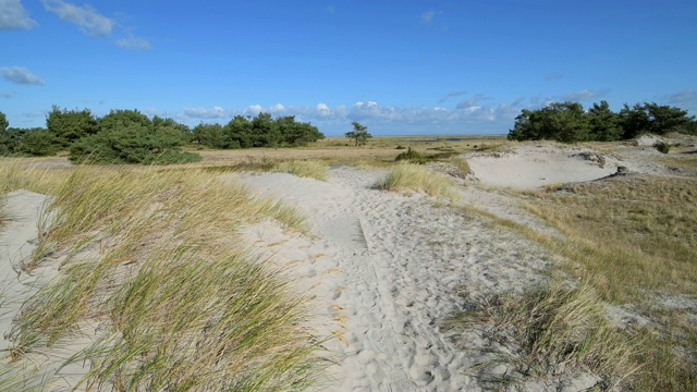 穿过沙丘景观的路径，Darsser Ort, preow, Fischland-Darß-Zingst，波罗的海，Mecklenburg-Vorpommern，德国视频素材