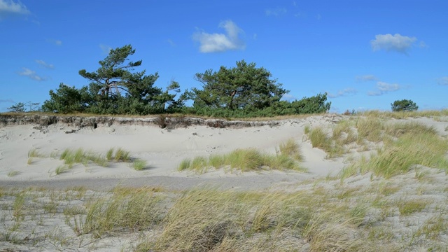 蓝天沙丘景观，Darsser Ort, preow, Fischland-Darß-Zingst，波罗的海，Mecklenburg-Vorpommern，德国视频素材