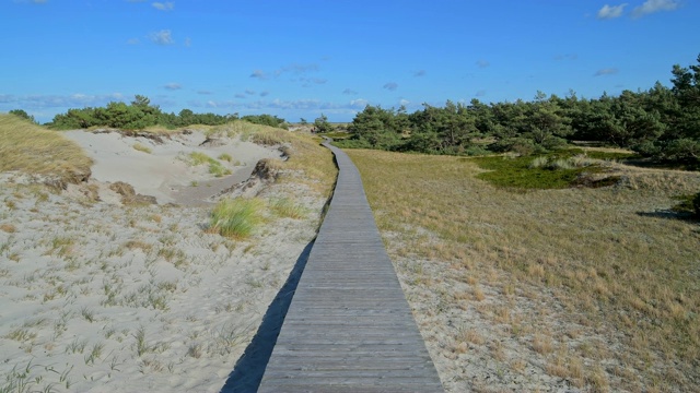 木栈道通过沙丘景观，Darsser Ort, preow, Fischland-Darß-Zingst，波罗的海，Mecklenburg-Vorpommern，德国视频素材