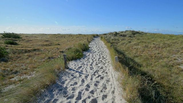 穿过沙丘景观的路径，Darsser Ort, preow, Fischland-Darß-Zingst，波罗的海，Mecklenburg-Vorpommern，德国视频素材