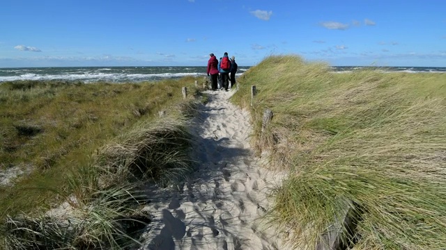 穿过沙丘景观的路径，Darsser Ort, preow, Fischland-Darß-Zingst，波罗的海，Mecklenburg-Vorpommern，德国视频素材