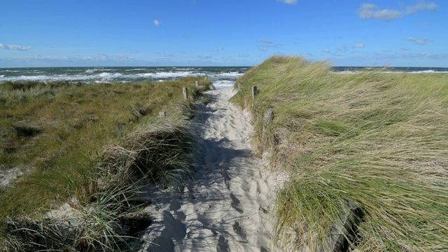 穿过沙丘景观的路径，Darsser Ort, preow, Fischland-Darß-Zingst，波罗的海，Mecklenburg-Vorpommern，德国视频素材