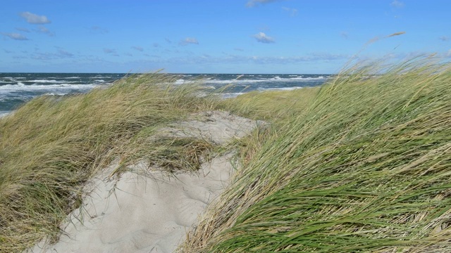 蓝天沙丘景观，Darsser Ort, preow, Fischland-Darß-Zingst，波罗的海，Mecklenburg-Vorpommern，德国视频素材