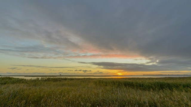 泻湖地区(博登)在秋天日出，布雷塞维茨，Zingst, fischand - darß -Zingst，波罗的海，梅克伦堡- vorpommern，德国视频素材