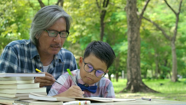 老人在公园里帮孩子做作业。教育和关系，男人教男孩学。视频素材