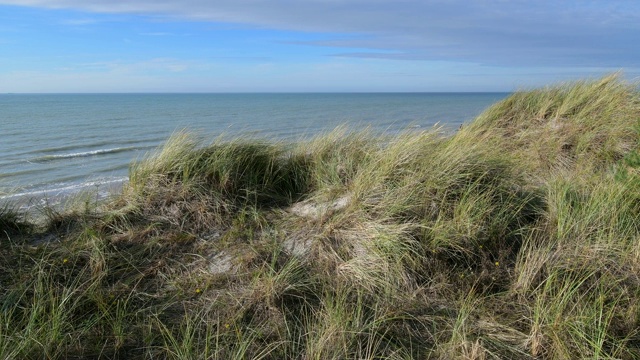 德国，波罗的海，梅克伦堡- vorpommern, Ahrenshoop, Fischland-Darß，蓝色天空的沙丘景观视频素材