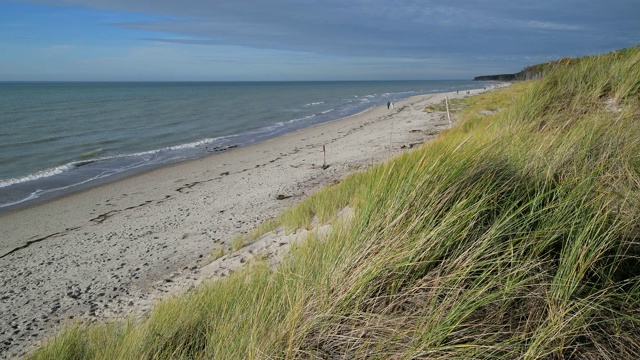 波罗的海海滩沙丘，西strand, Born am Darß， Fischland-Darß-Zingst，波罗的海，Mecklenburg-Vorpommern，德国视频素材