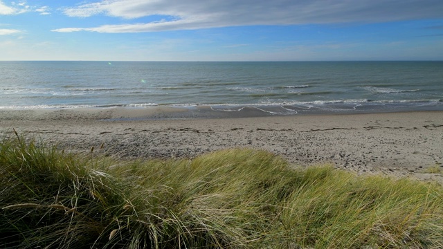 波罗的海海滩沙丘，西strand, Born am Darß， Fischland-Darß-Zingst，波罗的海，Mecklenburg-Vorpommern，德国视频素材