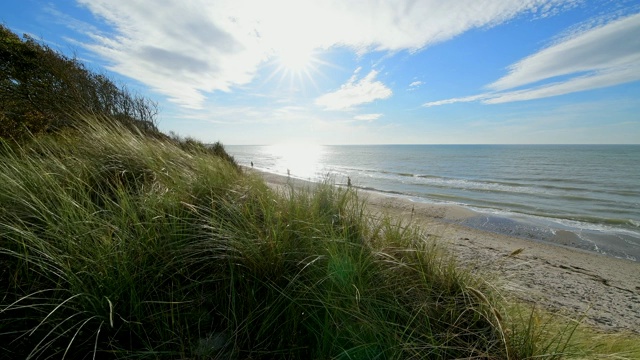 波罗的海海滩沙丘，西strand, Born am Darß， Fischland-Darß-Zingst，波罗的海，Mecklenburg-Vorpommern，德国视频素材