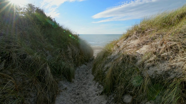 通往波罗的海与太阳的海滩，西strand, Born am Darß， fischland - daringst，波罗的海，Mecklenburg-Vorpommern，德国视频素材