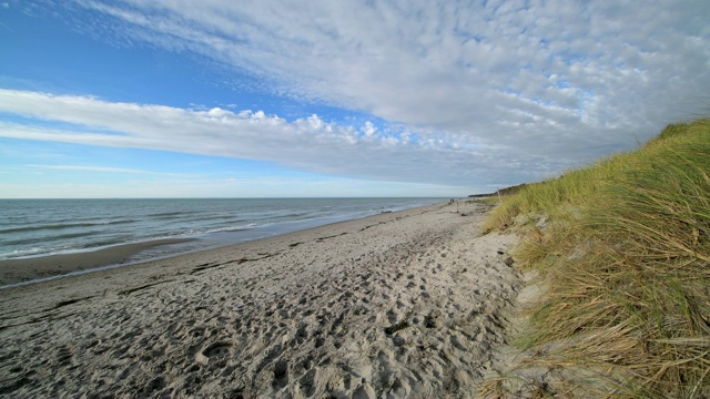 波罗的海海滩沙丘，西strand, Born am Darß， Fischland-Darß-Zingst，波罗的海，Mecklenburg-Vorpommern，德国视频素材