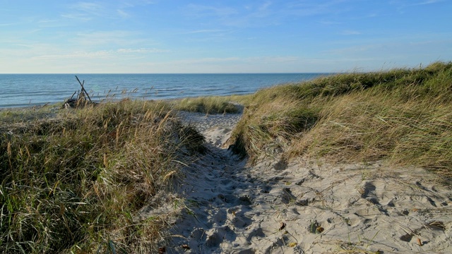 波罗的海海滩沙丘，西strand, Born am Darß， Fischland-Darß-Zingst，波罗的海，Mecklenburg-Vorpommern，德国视频素材