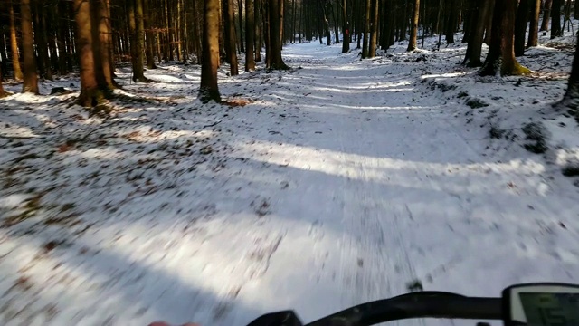 在冬季森林里骑山地自行车视频素材