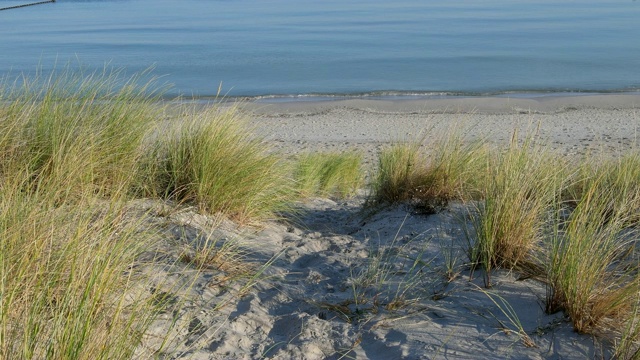 波罗的海海滩，Prerow, Fischland-Darß-Zingst，波罗的海，Mecklenburg-Vorpommern，德国视频素材