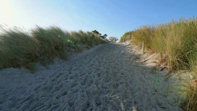 海滩进入波罗的海，普莱罗，菲施兰达ß- zingst，波罗的海，梅克伦堡- vorpommern，德国视频素材