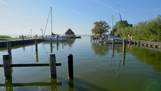 港生am Darß,Fischland-Darß-Zingst Mecklenburg-Vorpommern波罗的海,德国视频素材