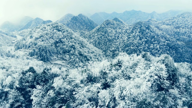 空中森林覆盖着积雪视频素材