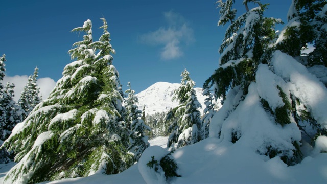 雷尼尔山华盛顿美国时间流逝晴天云山新鲜冬季雪视频素材