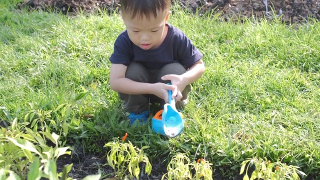 亚洲2 - 3岁蹒跚学步的婴儿男孩在绿色后院的黑土上种植自家种植的蔬菜-慢镜头视频下载