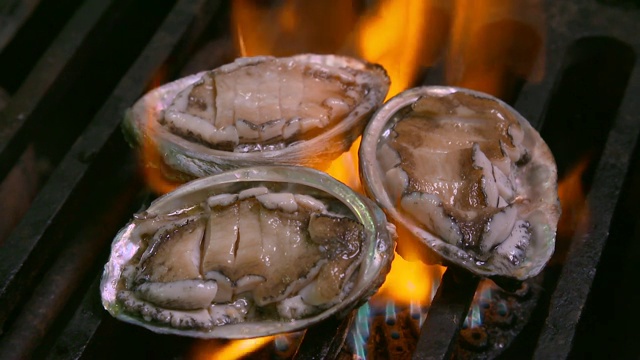 在烤架上烤鲍鱼(韩国食物)视频素材