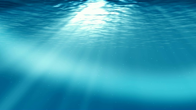 水下sceen。看看我的其他水下和海景动画视频素材画面1