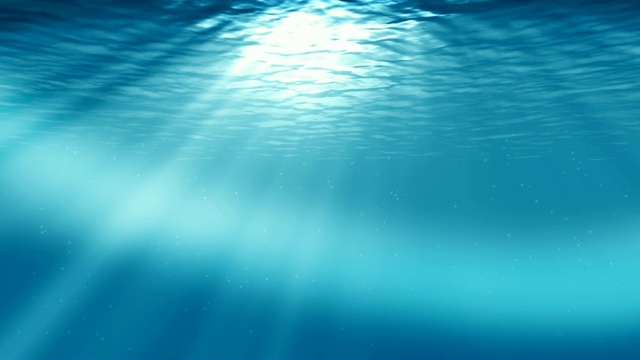 水下sceen。看看我的其他水下和海景动画视频素材画面2