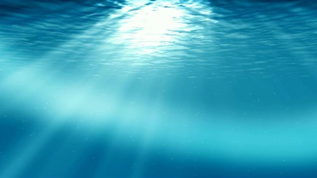 水下sceen。看看我的其他水下和海景动画视频素材画面3
