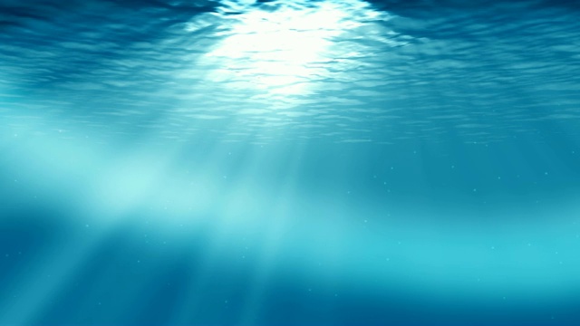 水下sceen。看看我的其他水下和海景动画视频素材画面4