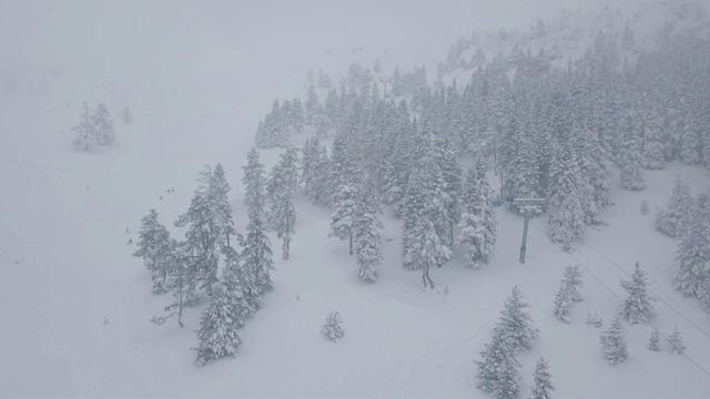 滑雪椅缆车乘雪在森林里视频下载