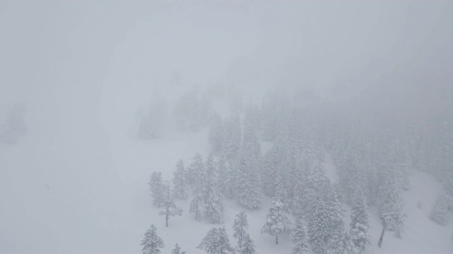 雪林滑雪场雾气弥漫视频下载