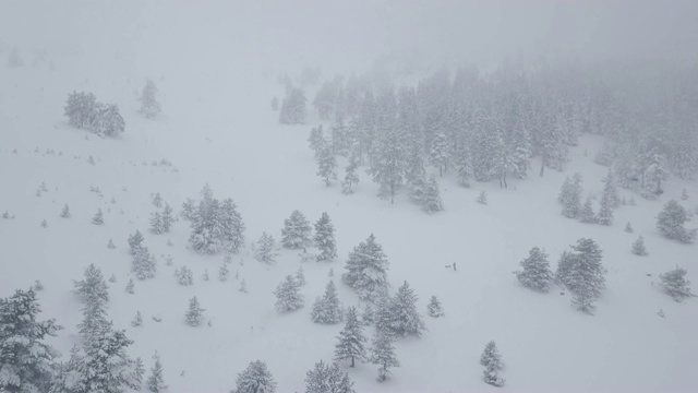 森林滑雪缆车上的降雪作为背景视频下载