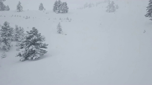 冬天的雪落在森林里视频下载