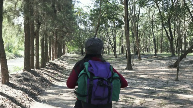 徒步旅行者，在树林里逃命的女人视频素材