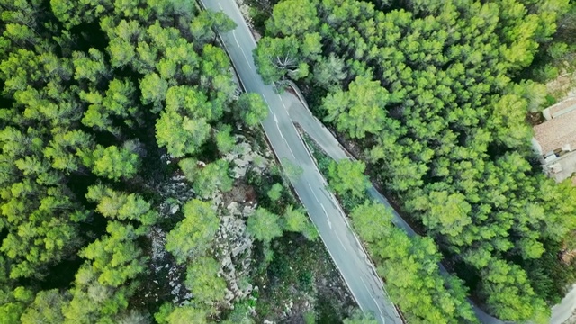 鸟瞰图视频的两车道蜿蜒的道路在森林视频素材